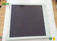 NL8060AC26-26 NLT iPad LCD Ekran Değiştirme LCM 800 × 600 190 Normalde Beyaz