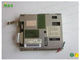 NL3224AC35-06 NEC Tıbbi Sınıf Lcd Monitörler, Yedek Lcd Ekran 5.5 Inç