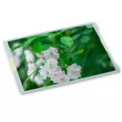 G104SN03 V.2 Dokunmatik Panel Ekran 10.4&quot; 800*600 AUO LCD Panel