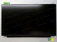 Yüksek Dayanıklı 15.6 inç N156HCA-EAA Innolux LCD Panel Aydınlık 250 Cd / M²