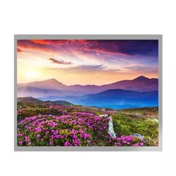 MVA 10.4 İnç TFT LCD Ekran G104X1-L04 LVDS Arayüzü TFT LCD Modülü