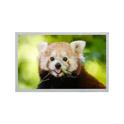 12.1 İnç AUO LCD Panel 800*600 G121S1-L02 REV C4 / REV C6 TFT LCD Ekran Modülü